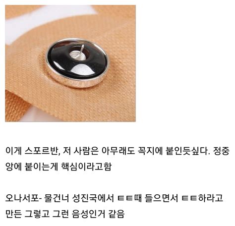 아주아주 별 거 아니지만 스포르반(자석침) 이용방법. [주의..